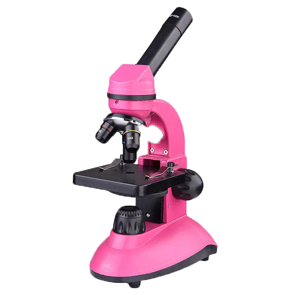 Microscopio Rosado Laboratorio Gordo